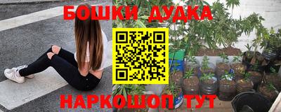шишки Нальчик