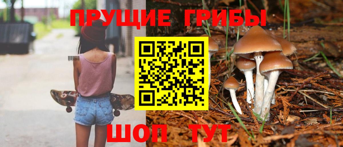 Чернушка  где найти наркотики  Вход с VPN  Псилоцибиновые грибы Cubensis 