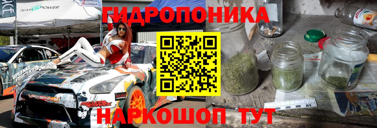 Бошки марихуана гибрид Чернушка